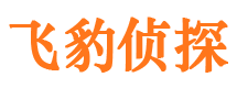 谯城市私人侦探